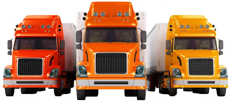 Professional Moving Services