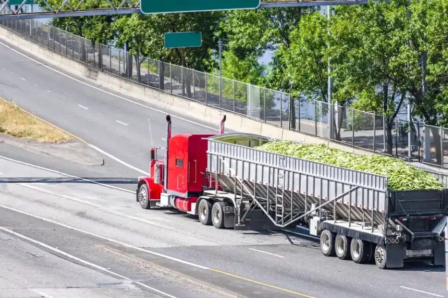 Superior Trucking Services North Port, FL